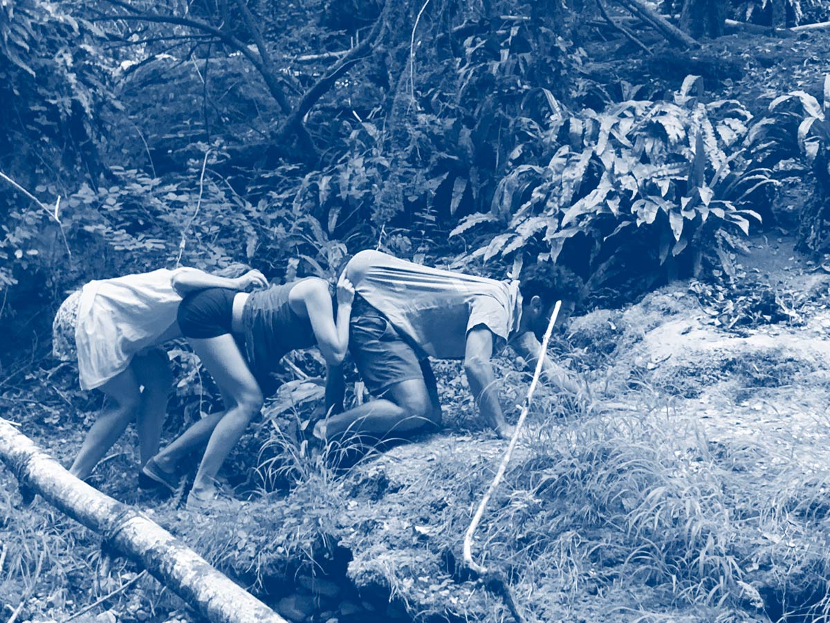 Stage d'été en pleine nature